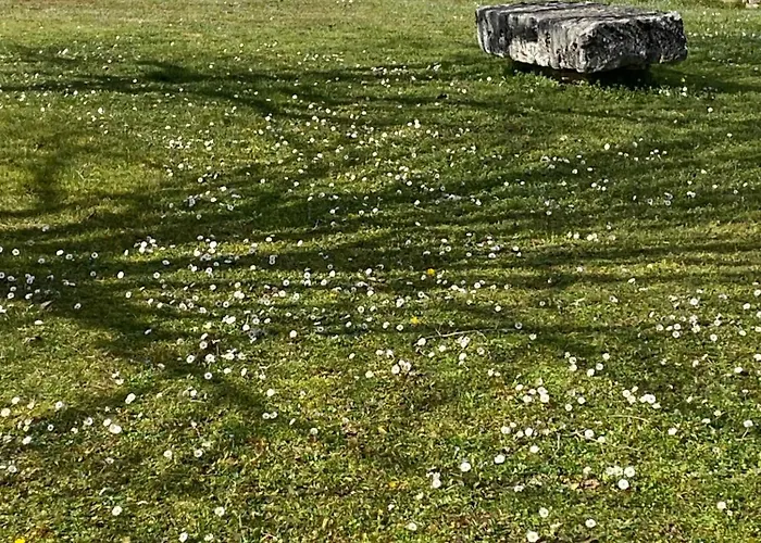 別荘 Maison Quercynoise Coeur Du Causse 4 A 8 Pers